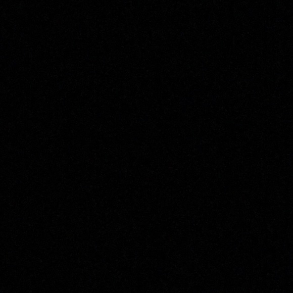 Meet your Posher, Curtis - Picture 1 of 1